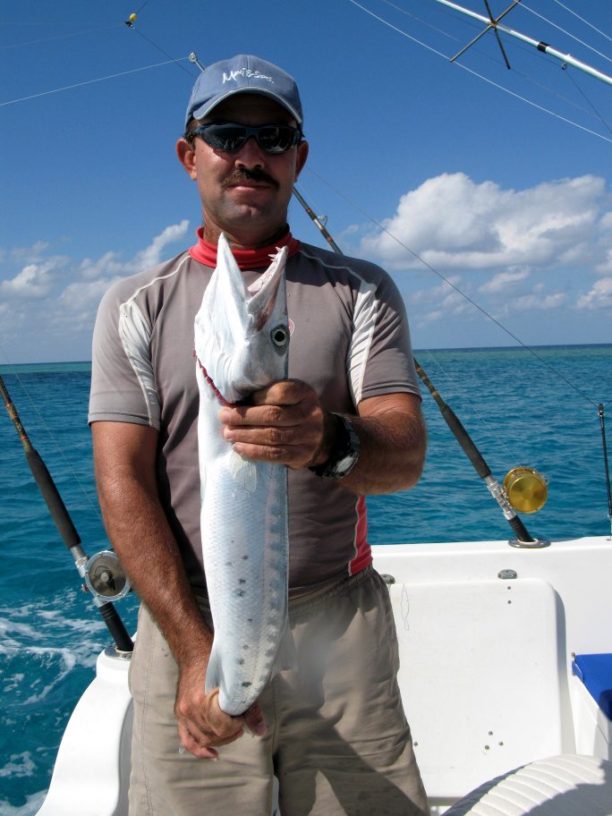 Barbaro with barracuda