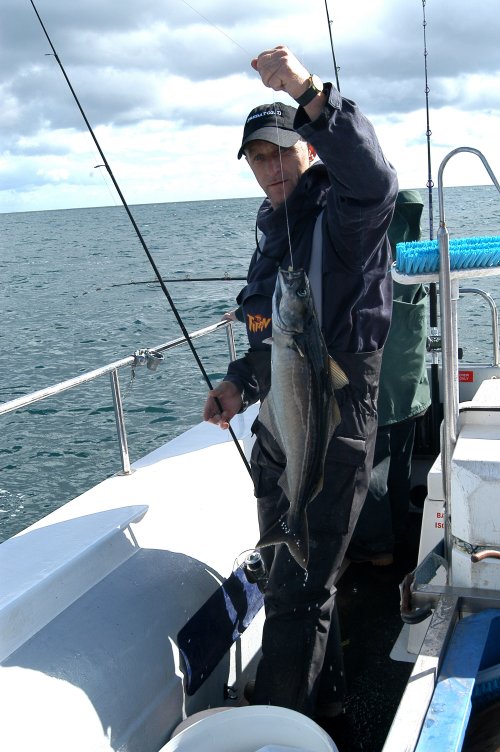 Hamish Currie with cages Coalfish