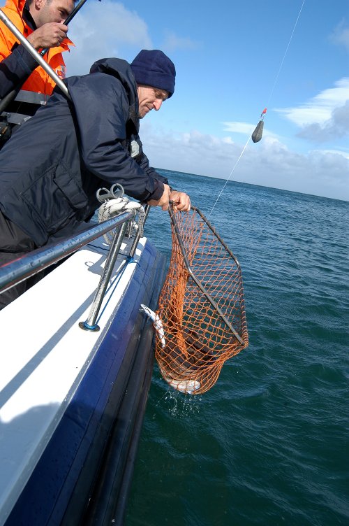 Hamish Currie with Bull Huss at the net