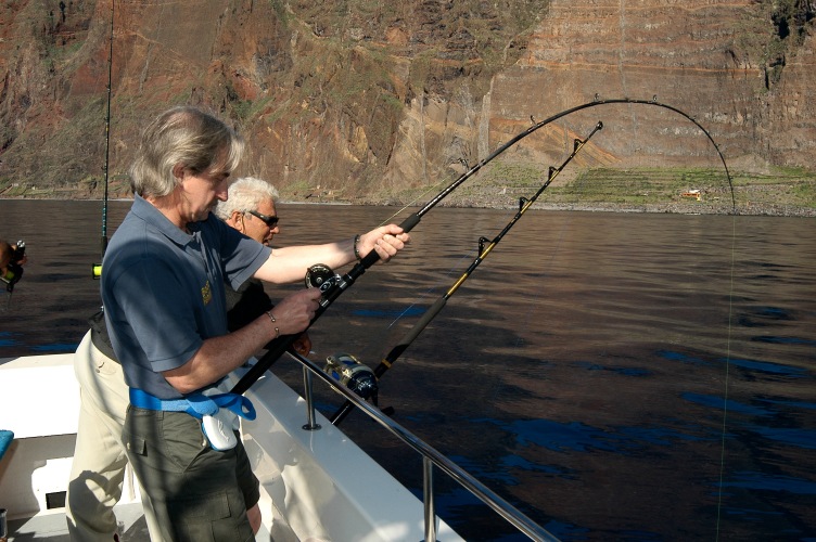 Bending Exage Rod into a Big Ray