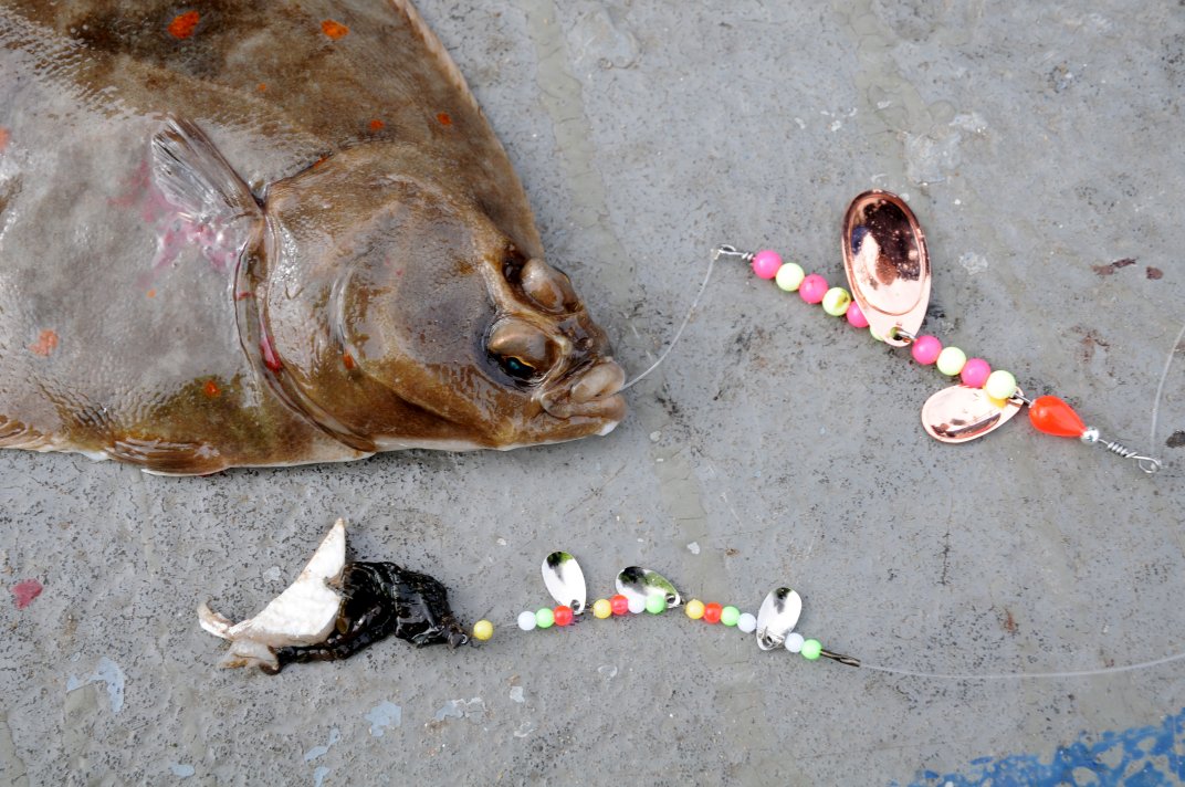 Plaice Rig