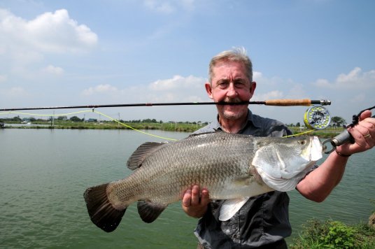 Best fly caught Barra 16 lbs Best fly caught Barra 16 lbs