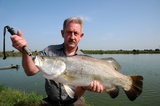 Phill Williams Boon Mar Barramundi Phill Williams Boon Mar Barramundi