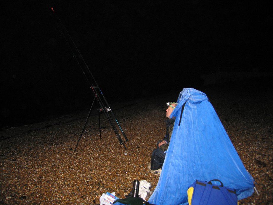 Camp After Dark Camp After Dark