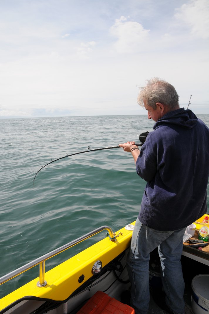PW Porbeagle Action
