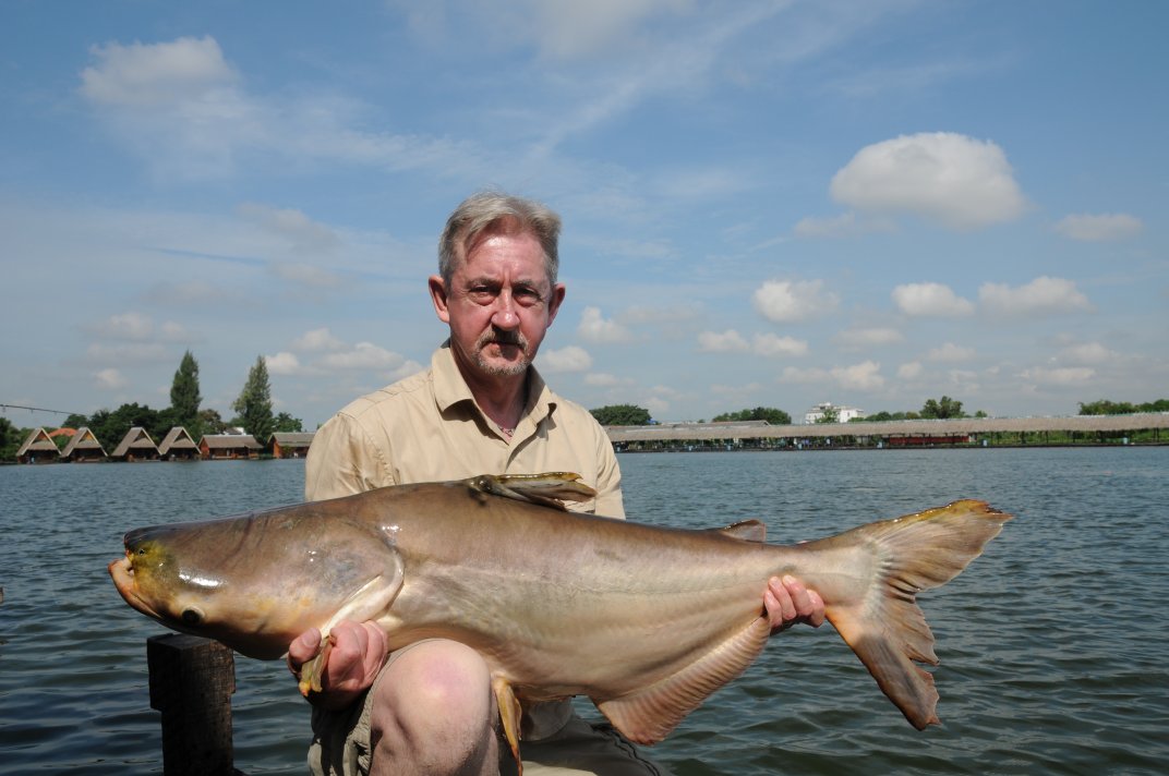 Phill Williams Mekong Giant Cat