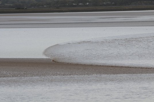 Canal Foot tidal bore Canal Foot tidal bore