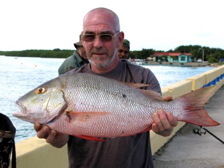 John Adams Red Snapper John Adams Red Snapper