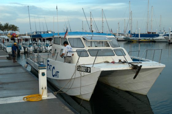 Fat Kat Suterra Harbour KK