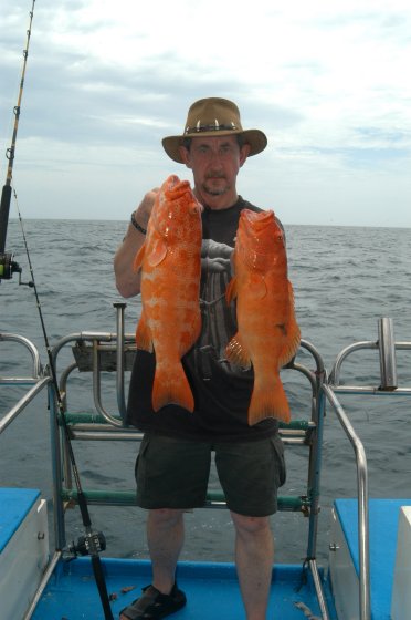 PW big Coral Trout brace PW big Coral Trout brace