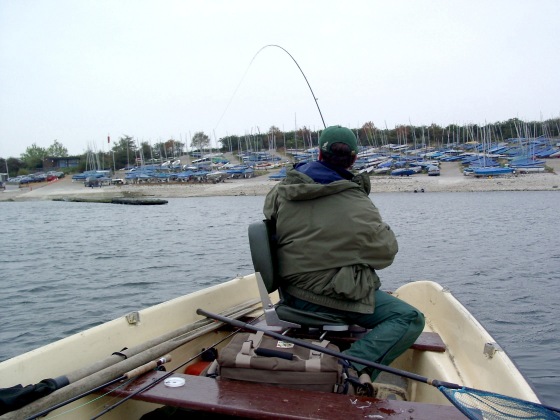 Fry feeding action close to the moorings