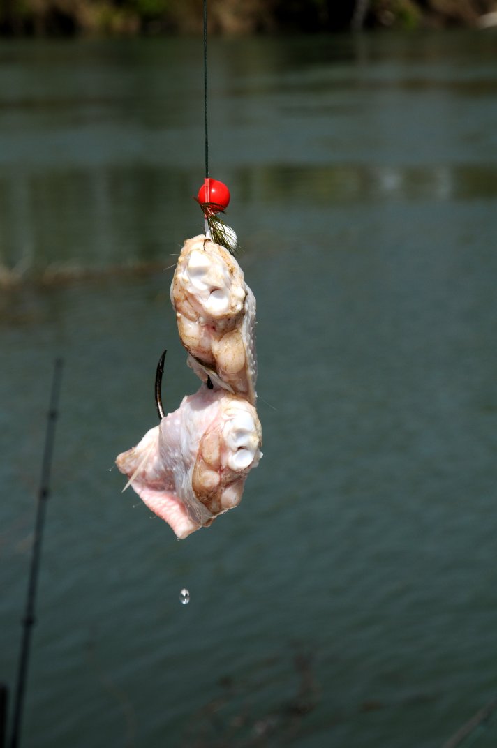Chicken Legs For Bait