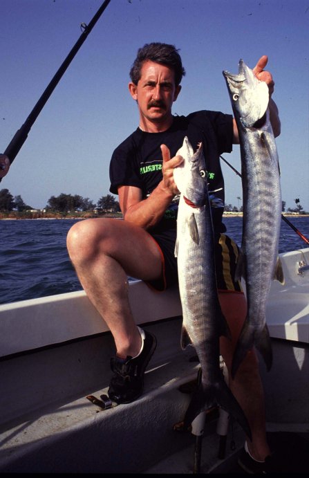 European Barracuda