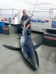 Danny Fitch 242 pound Blue Shark
