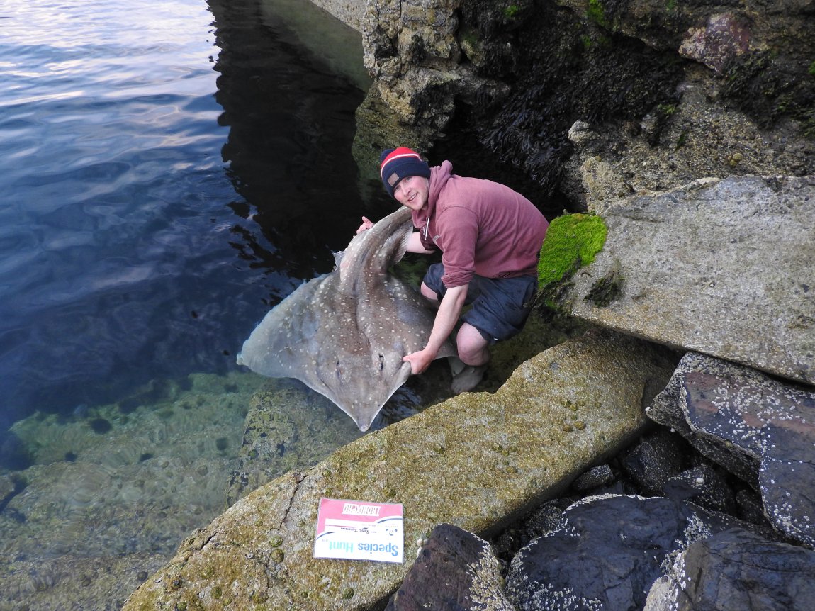 Ross Johnson 173 pound shore caught skate