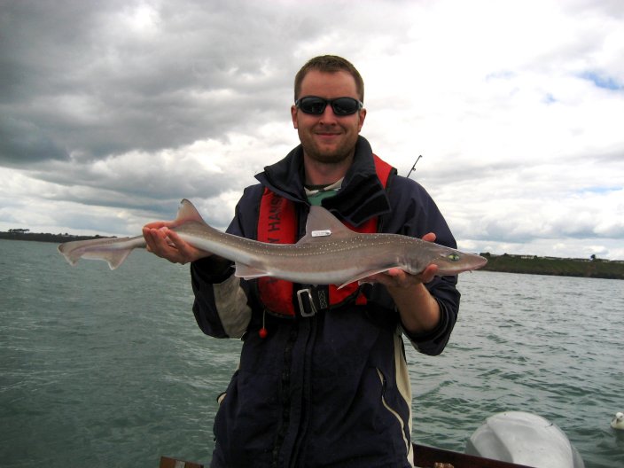 Dr. Ed Farrell Smoothhound