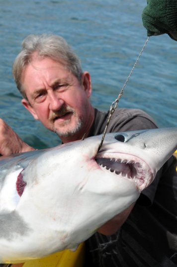 PW Small Porbeagle PW Small Porbeagle