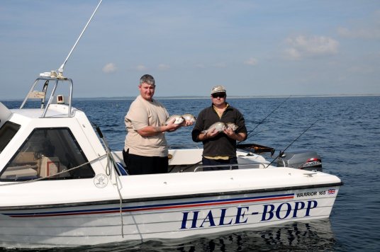 Hale Bop black bream Hale Bop black bream