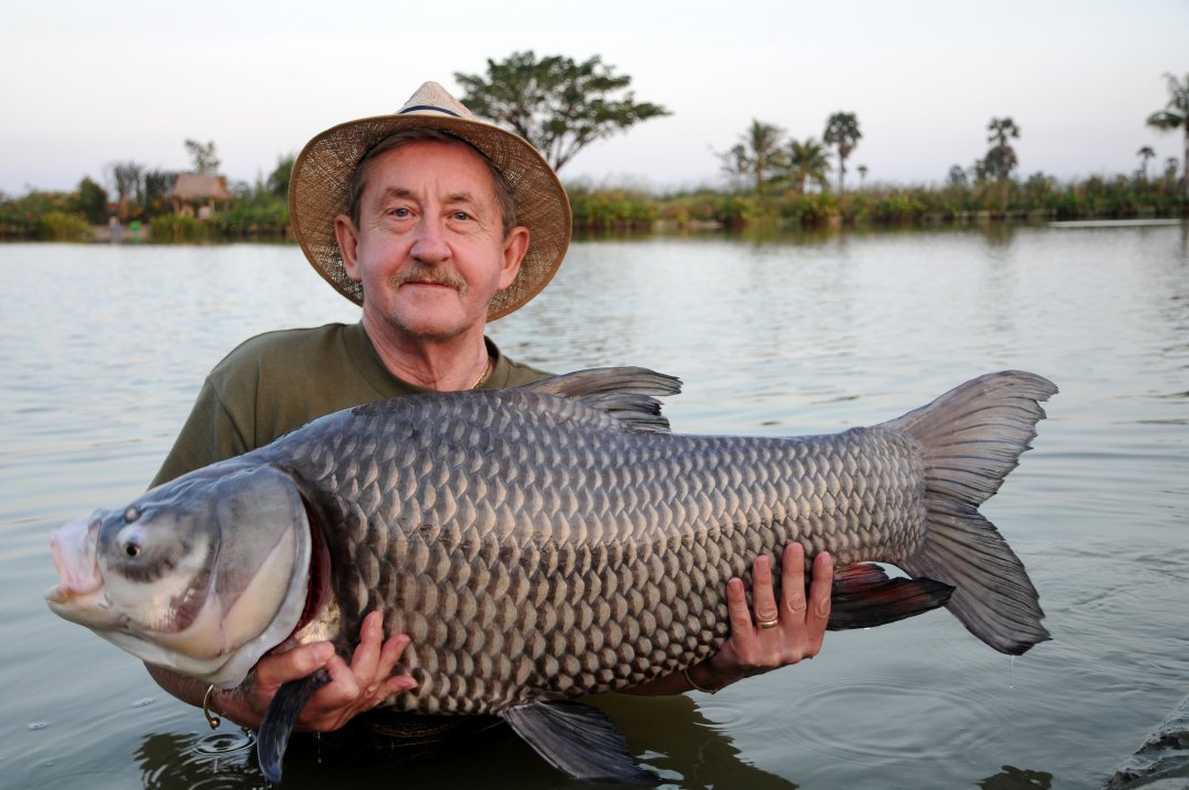 PW Siamese Carp