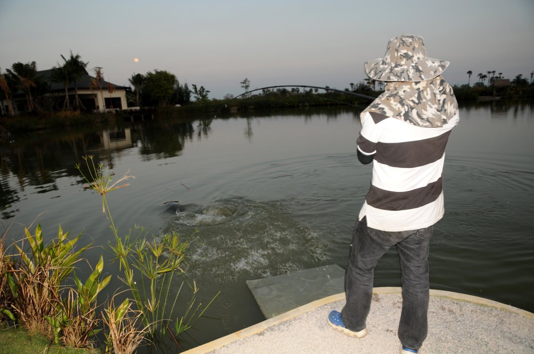 Neum into good Carp