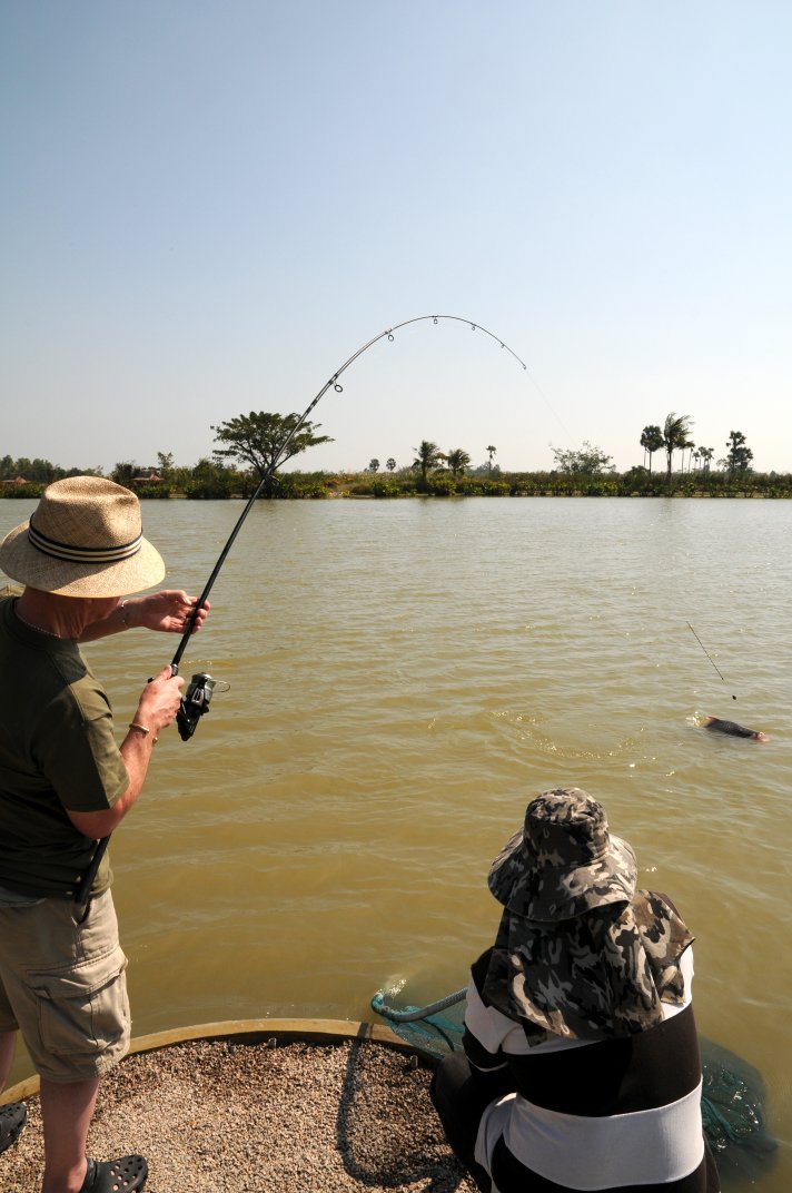 PW Playing Carp