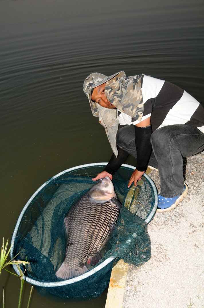 Neum Carp In The Net