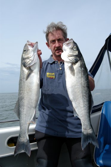 Phill Williams Bass Brace
