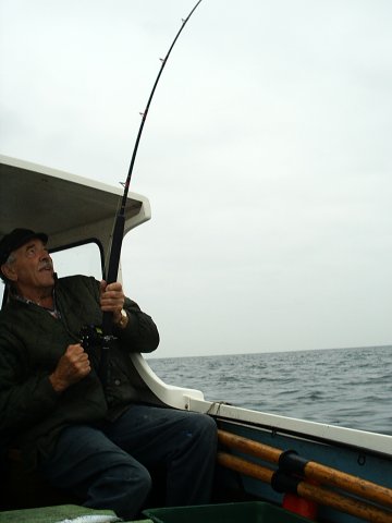 Brian into a Shark