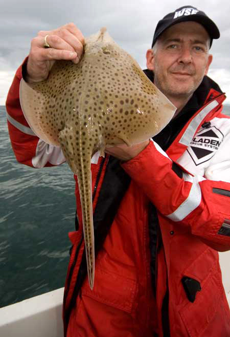 Spotted Ray