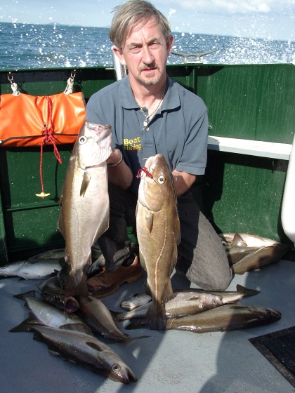 Phill, Cod & Pollack taken on multi-tail lure