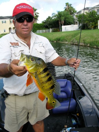 Frank Carbone Peacock Bass