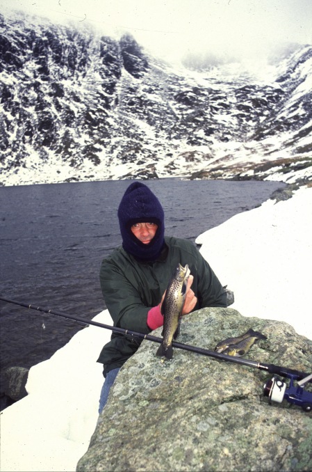 Dave Devine, Brown Trout