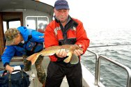 Rhyl Tub Gurnard Rhyl Tub Gurnard