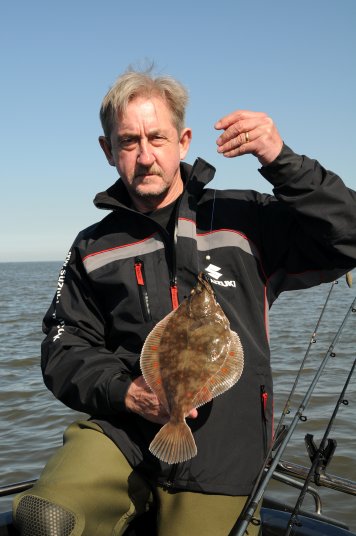 Auxiliary power Plaice Auxiliary power Plaice
