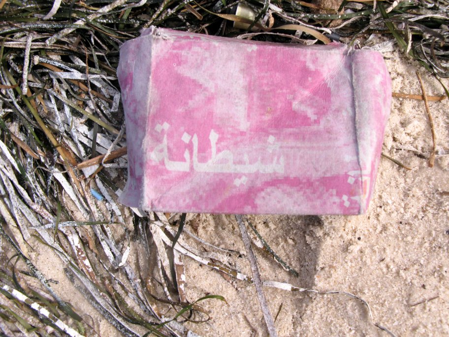 Box of Tunisian ragworm