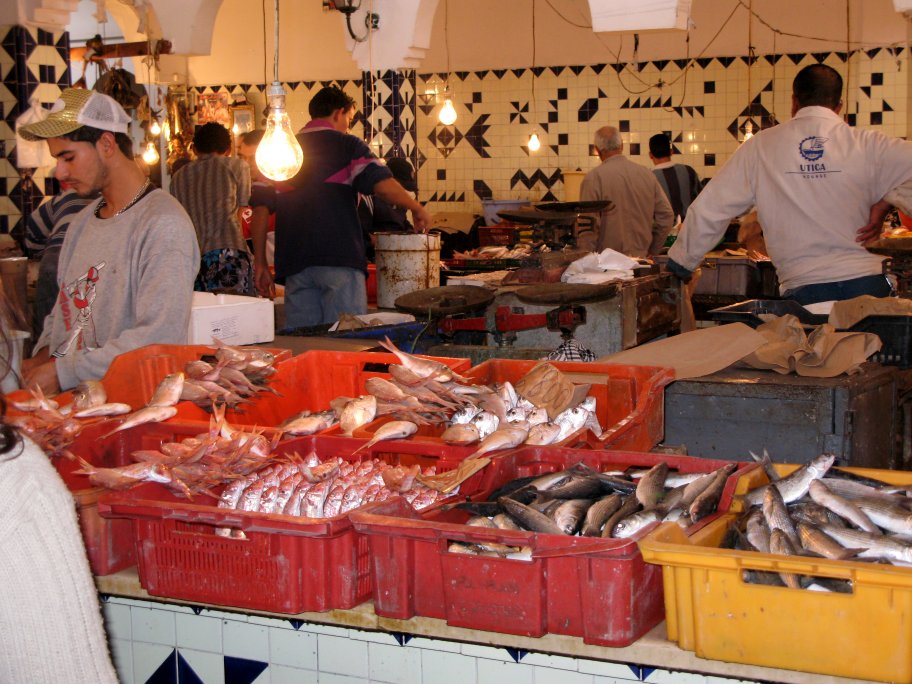 Sousse fish market