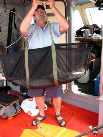The Weighing Sling
