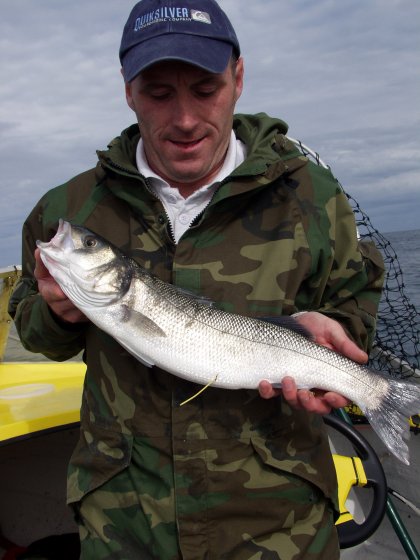 Tagged Bass
