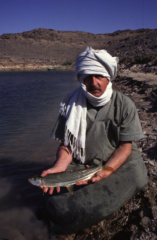 PW Tigerfish Lake Nasser