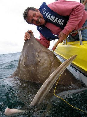 Graeme 140 lb Skate