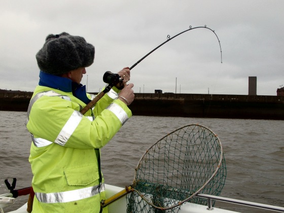 Phill into Mersey Cod Phill into Mersey Cod